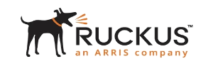 ruckuswireless